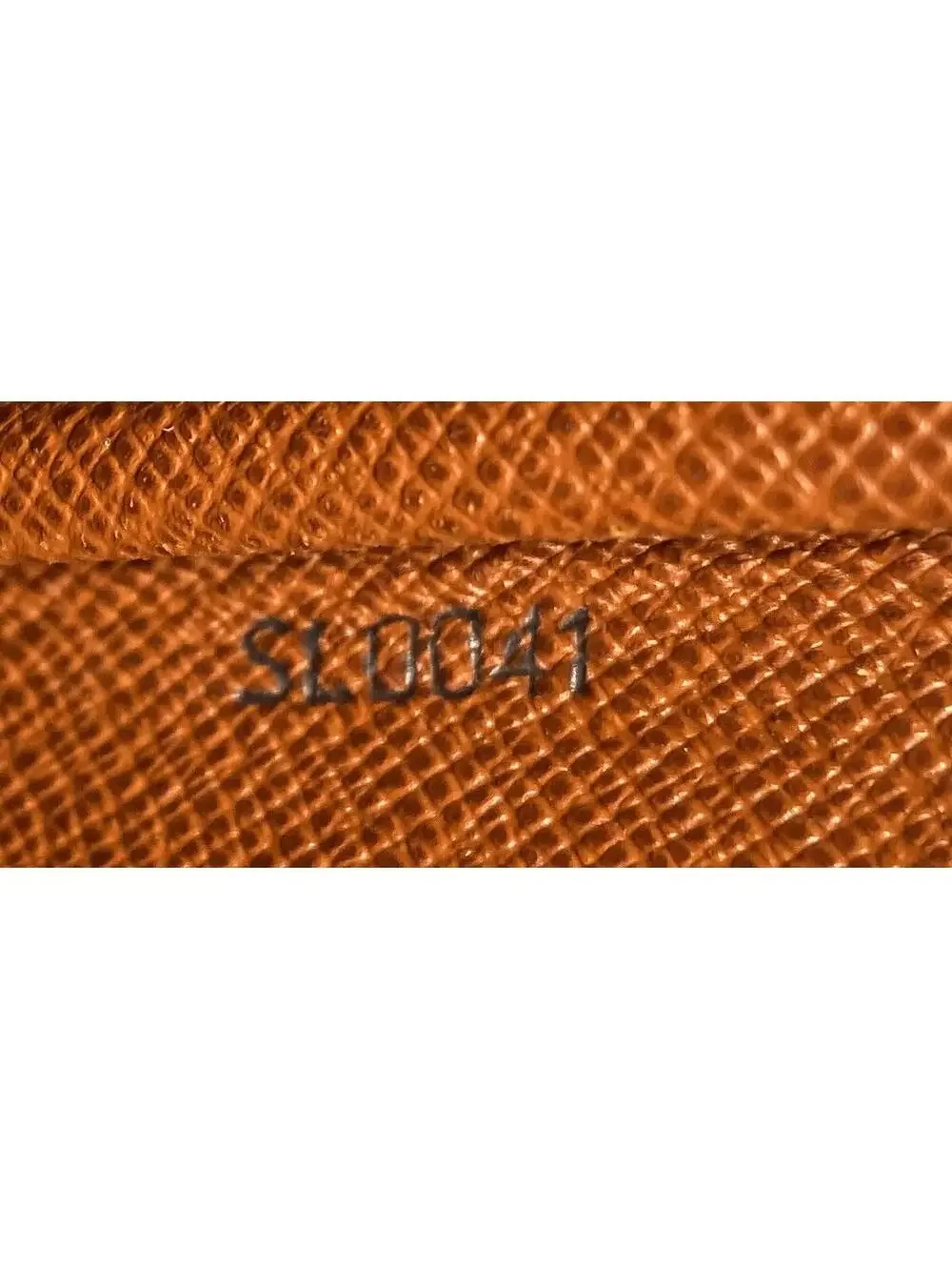 Louis Vuitton introducing louis